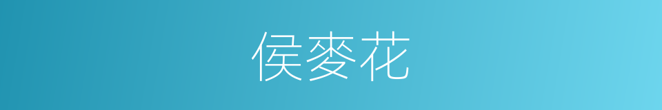 侯麥花的同義詞