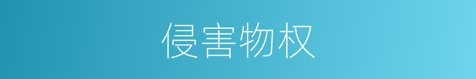 侵害物权的同义词