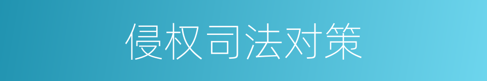 侵权司法对策的同义词
