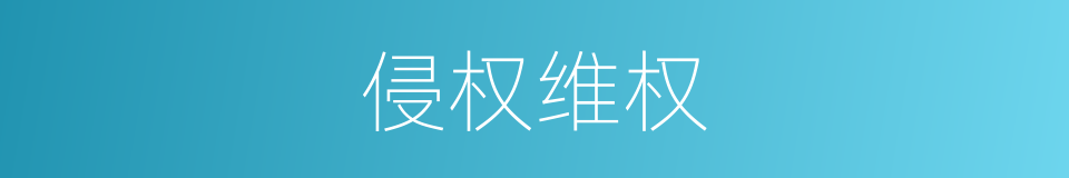 侵权维权的同义词
