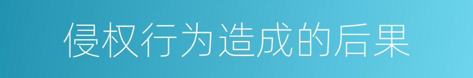 侵权行为造成的后果的同义词