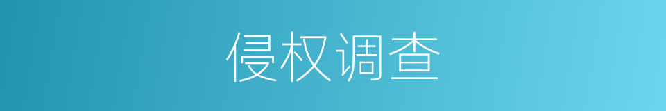 侵权调查的同义词