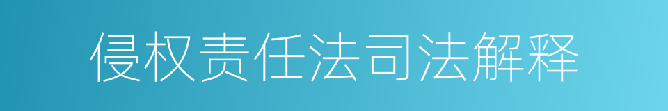 侵权责任法司法解释的同义词