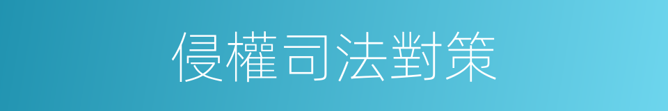 侵權司法對策的同義詞