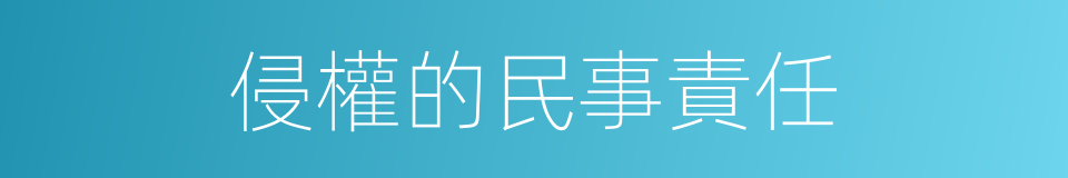 侵權的民事責任的同義詞