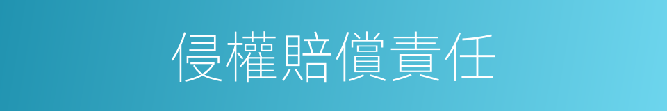 侵權賠償責任的同義詞