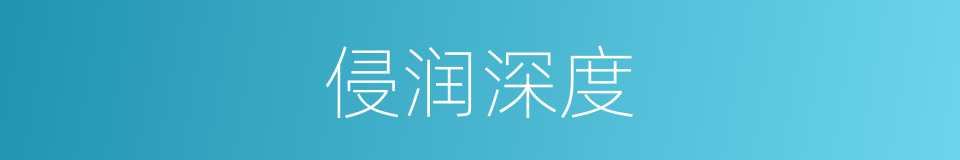 侵润深度的同义词