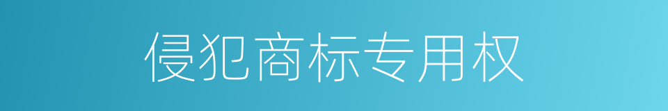 侵犯商标专用权的同义词