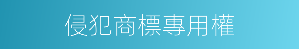 侵犯商標專用權的同義詞