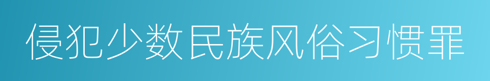 侵犯少数民族风俗习惯罪的同义词