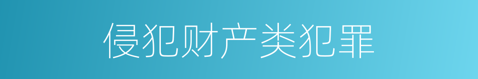 侵犯财产类犯罪的同义词