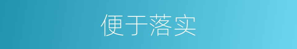 便于落实的同义词