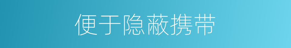 便于隐蔽携带的同义词