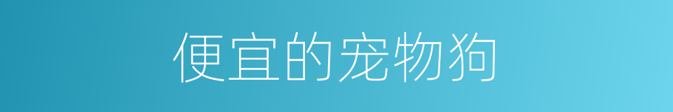 便宜的宠物狗的同义词