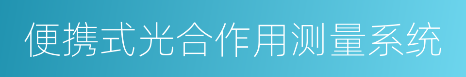 便携式光合作用测量系统的同义词