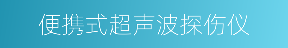 便携式超声波探伤仪的同义词