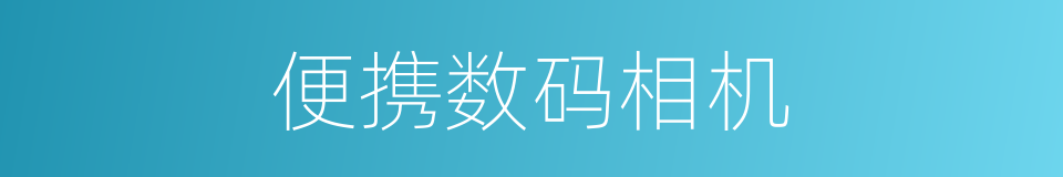 便携数码相机的同义词