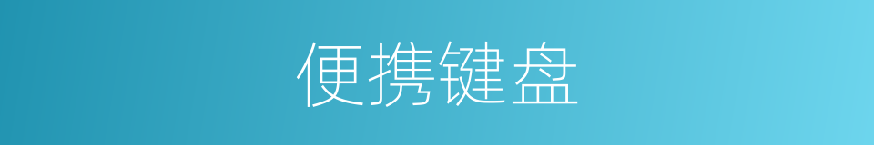 便携键盘的同义词