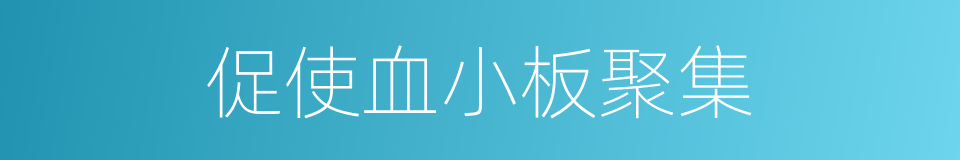 促使血小板聚集的同义词
