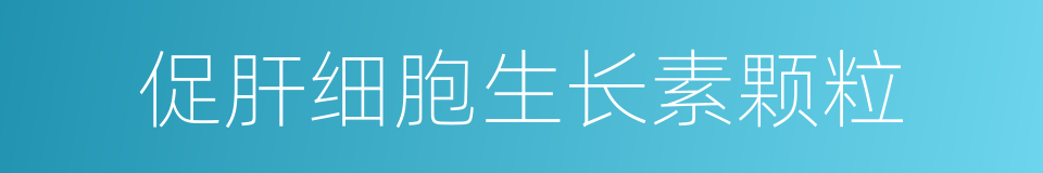 促肝细胞生长素颗粒的同义词