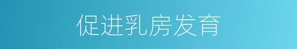 促进乳房发育的同义词