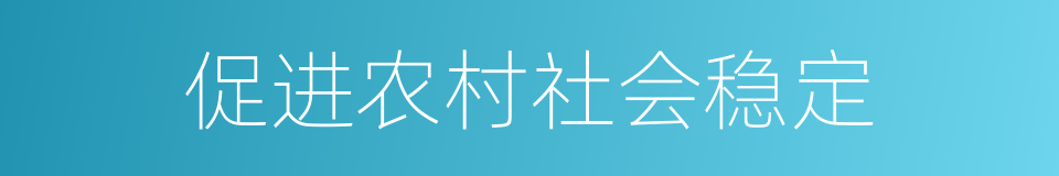 促进农村社会稳定的同义词