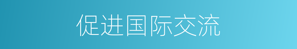 促进国际交流的同义词