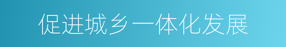 促进城乡一体化发展的同义词