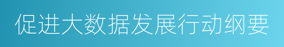 促进大数据发展行动纲要的同义词