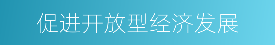 促进开放型经济发展的同义词