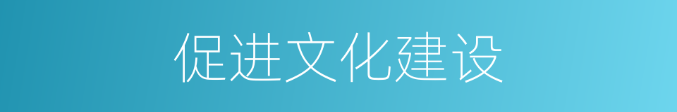 促进文化建设的同义词