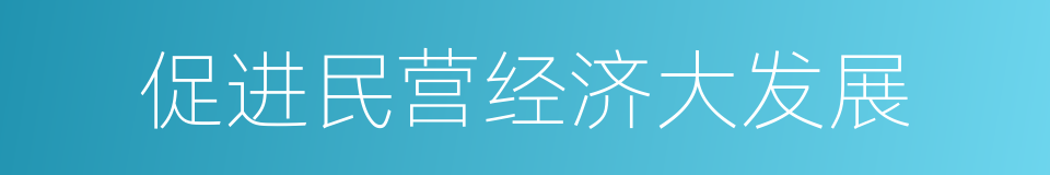 促进民营经济大发展的同义词