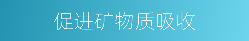 促进矿物质吸收的同义词