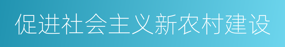 促进社会主义新农村建设的同义词