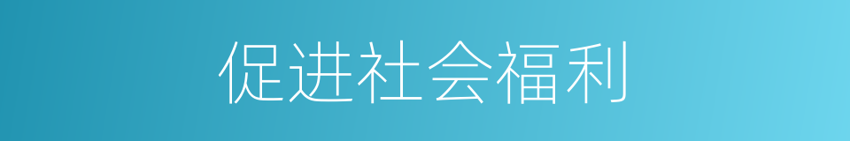 促进社会福利的同义词