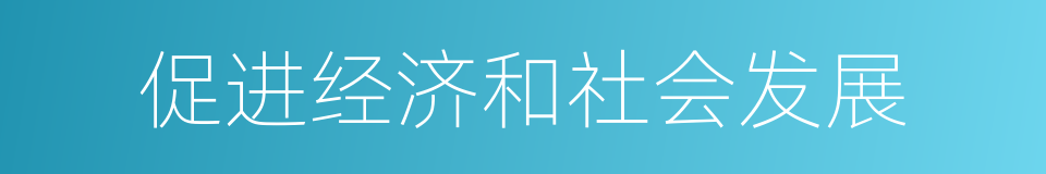 促进经济和社会发展的同义词