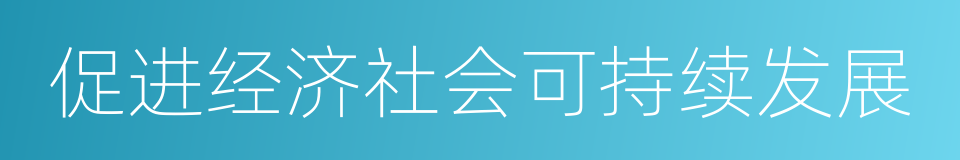 促进经济社会可持续发展的同义词