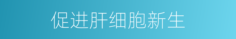 促进肝细胞新生的同义词