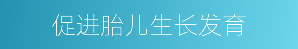 促进胎儿生长发育的同义词