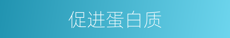 促进蛋白质的同义词