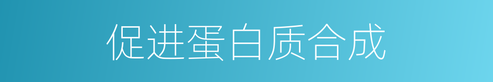 促进蛋白质合成的同义词