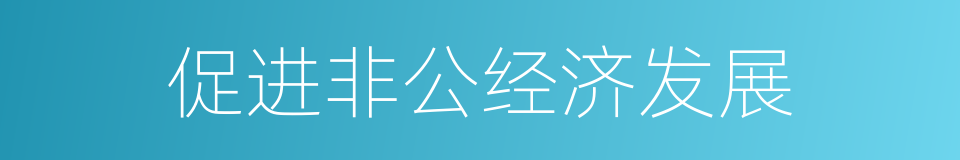 促进非公经济发展的同义词