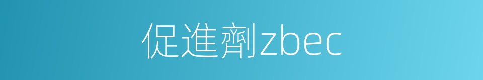 促進劑zbec的同義詞