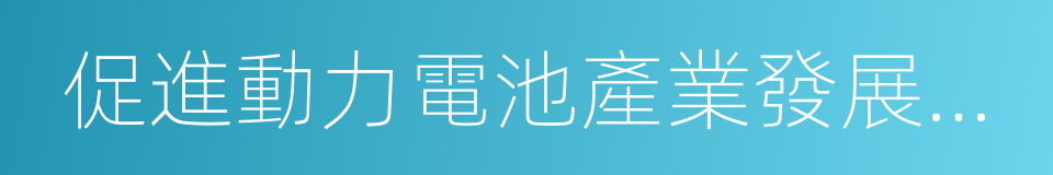 促進動力電池產業發展行動方案的同義詞