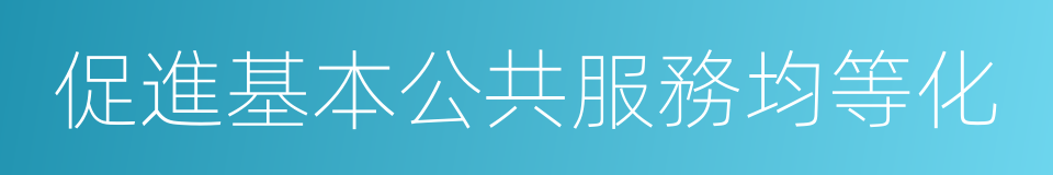 促進基本公共服務均等化的同義詞