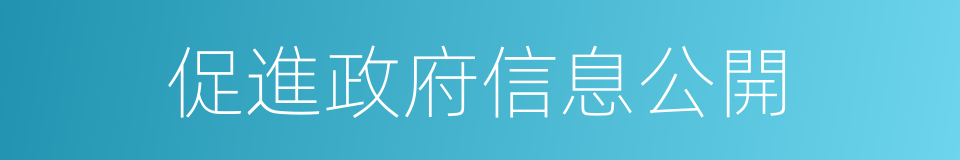 促進政府信息公開的同義詞