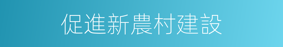 促進新農村建設的同義詞