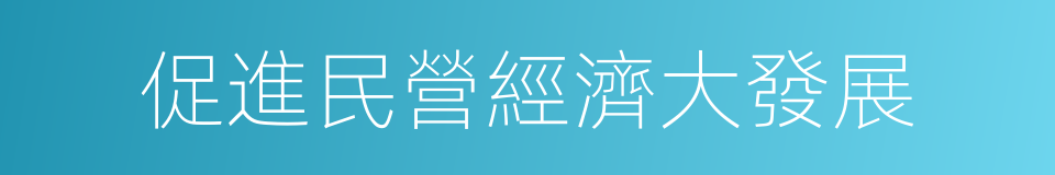 促進民營經濟大發展的同義詞