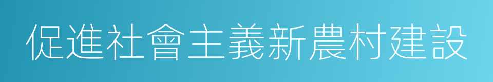 促進社會主義新農村建設的同義詞