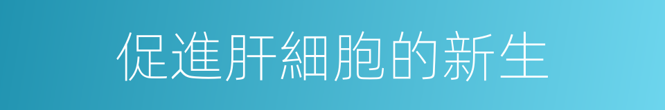 促進肝細胞的新生的同義詞